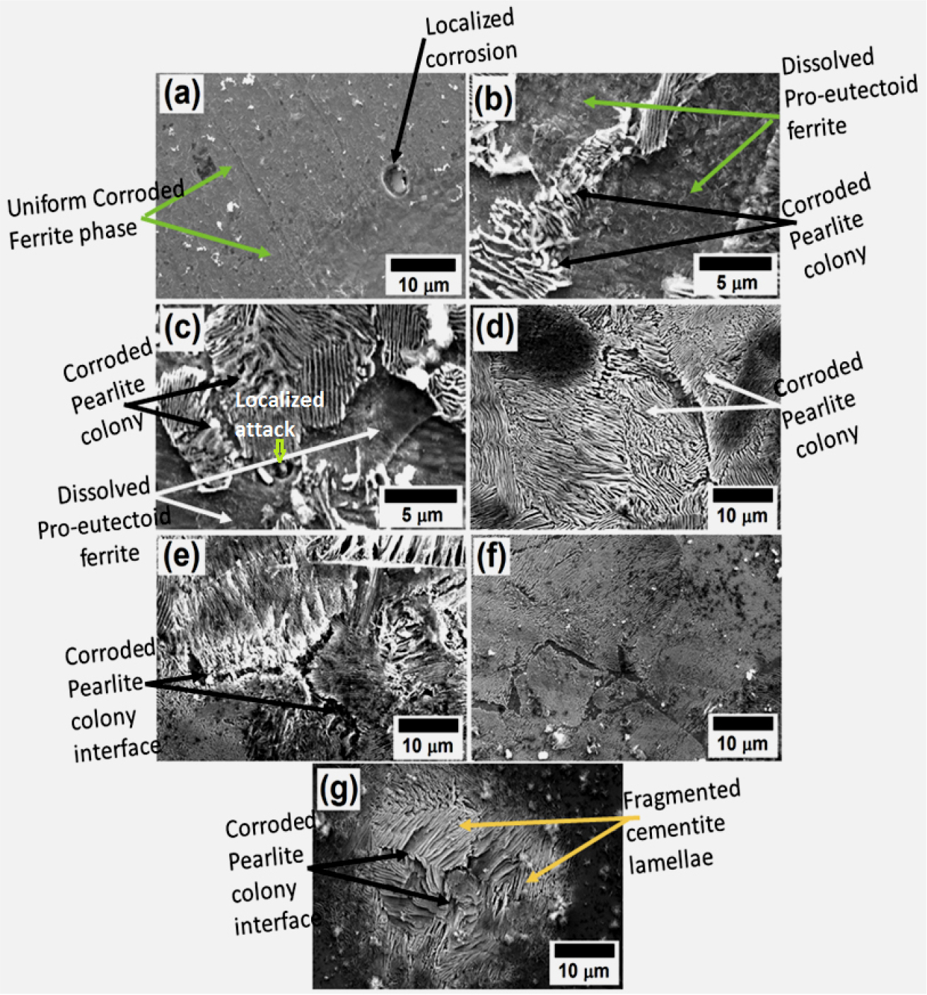 /media/sites/durabi/2022-013-02/N0300130206/images/Figure_susb_13_02_06_F5.jpg